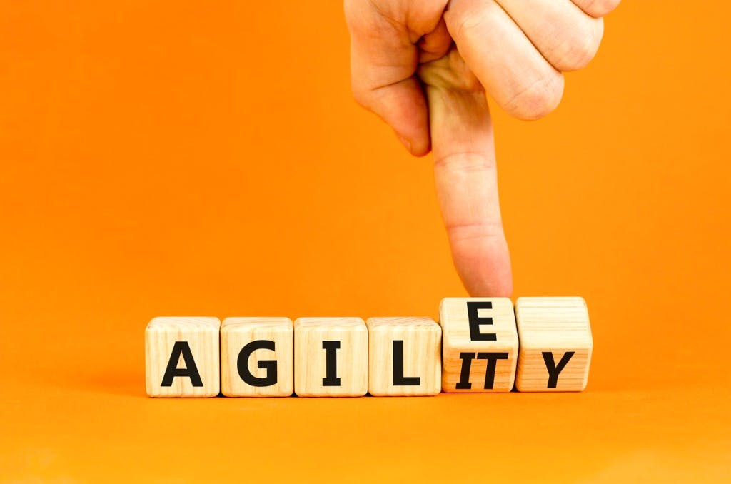 Cover Image for Agile Evolution: Embracing True Agility for Impactful Outcomes in Today's Economy